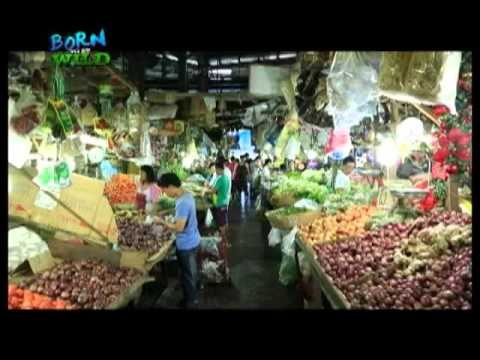 Mindful and sustainable cooking tips for Noche Buena | Born to be Wild