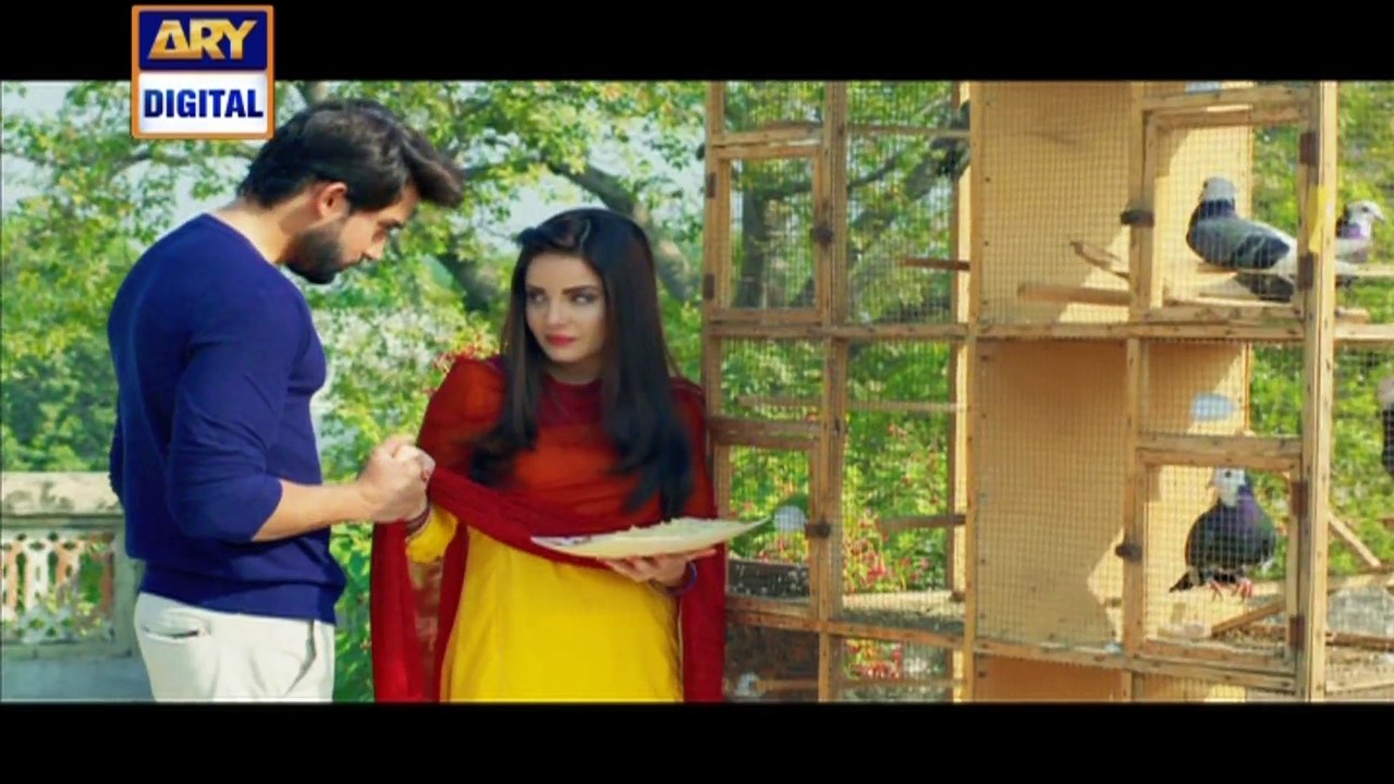 New Drama Seiral Comming Soon Only On ARY Digital