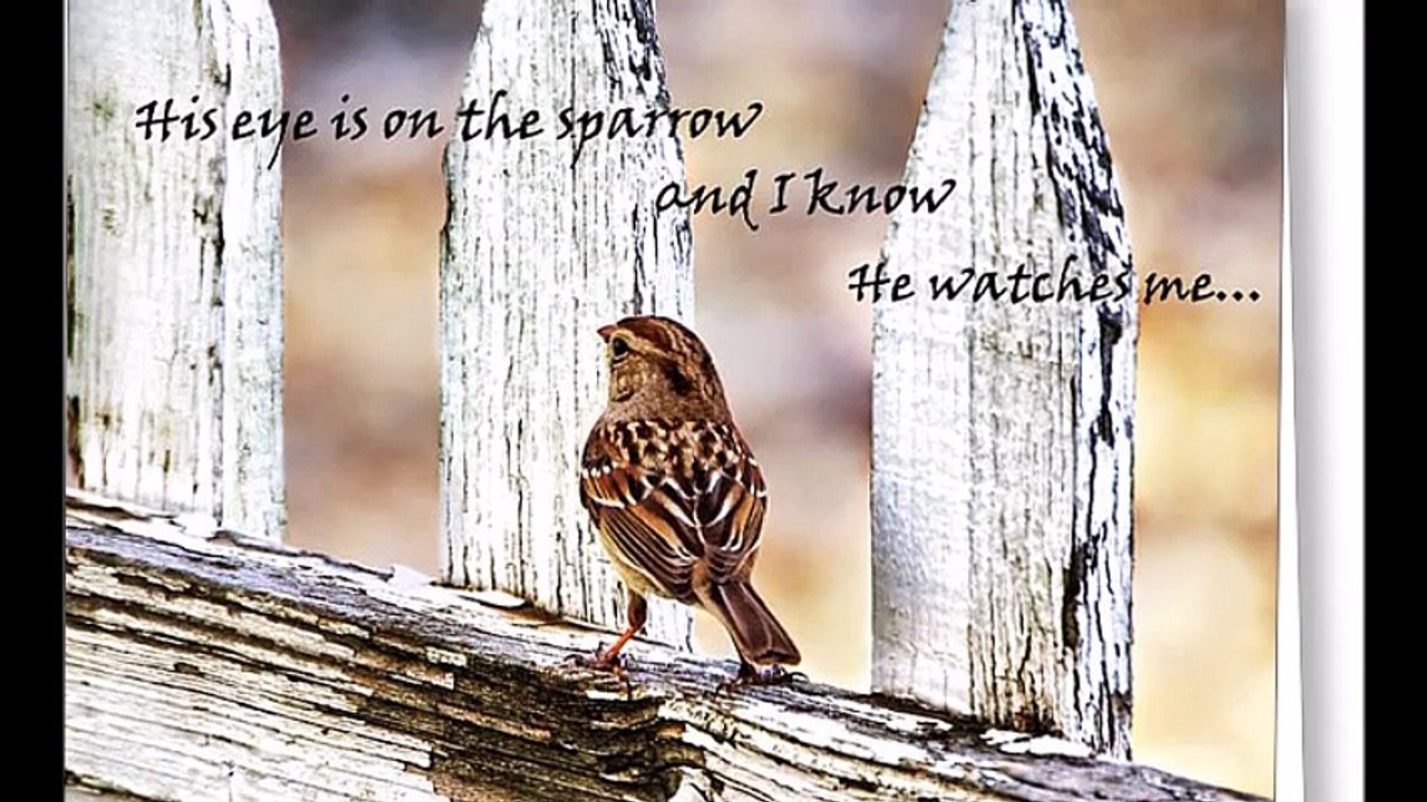 HIS EYE IS ON THE SPARROW - INSTRUMENTAL PRAISE SONG