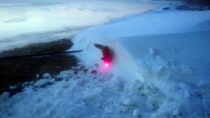 Ce renard chasse un laser !