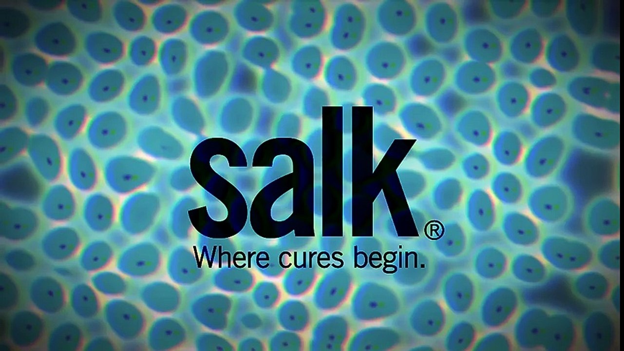 New findings highlight promise of chimeric organisms for science and medicine