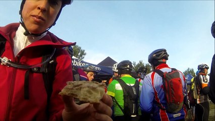 les ajoncs 2017
