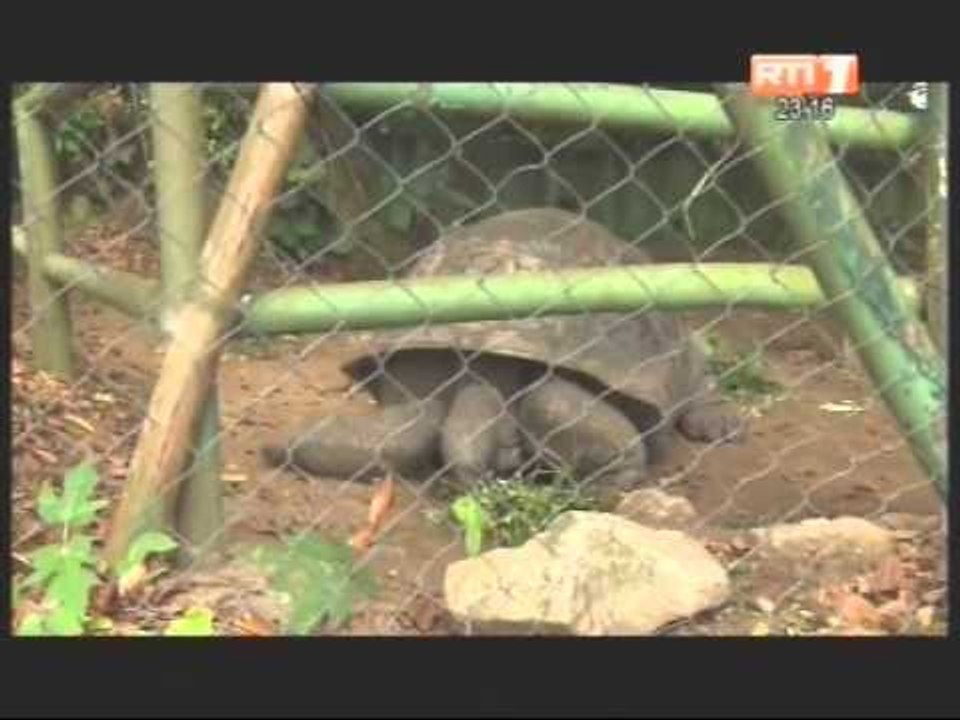 Reportage: dans quelles conditions vivent les animaux du Zoo d'Abidjan