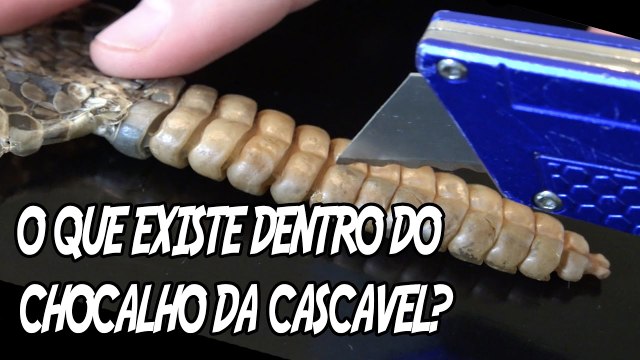 5 coisas que você NUNCA imaginou como são de verdade