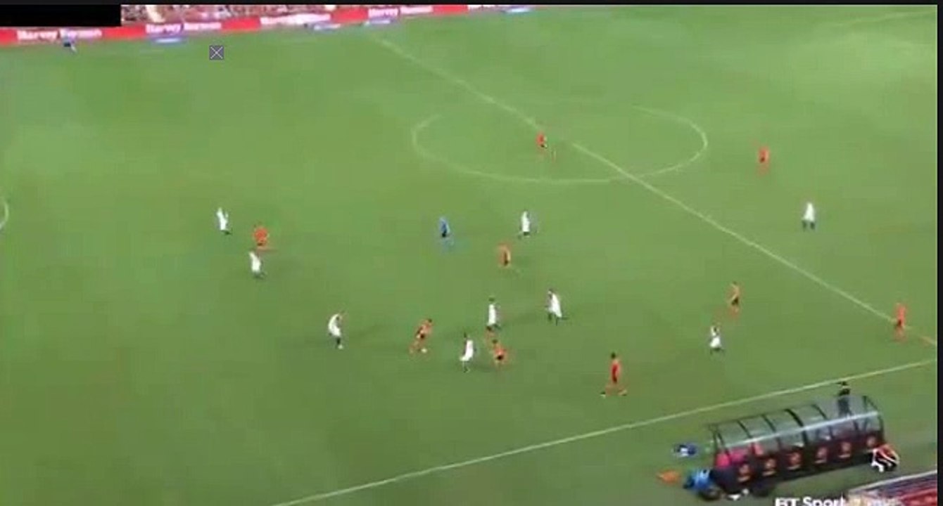 Brett Holman GOAL HD - Brisbane Roar	2-1	WS Wanderers 28.01.2017