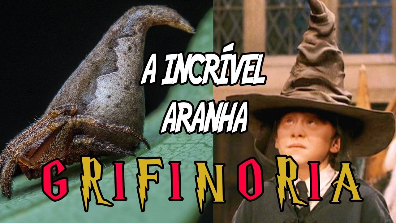 8 animais FODÕES descobertos em 2016