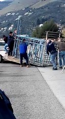 Monreale, tigre fugge dal circo. La cattura