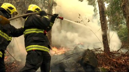 Chile: Deadly forest fires rage out of control