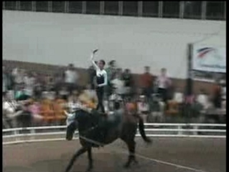 Voltige équestre : Sammy champion de France