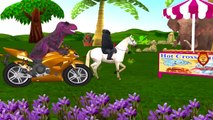 Dinosaurs & Gorilla Riding Horse 3D Animation Cartoons | Dinosaurs & Gorilla Finger Family Rhymes