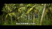 Kong׃ Skull Island International Trailer #1 / Movieclips Trailers