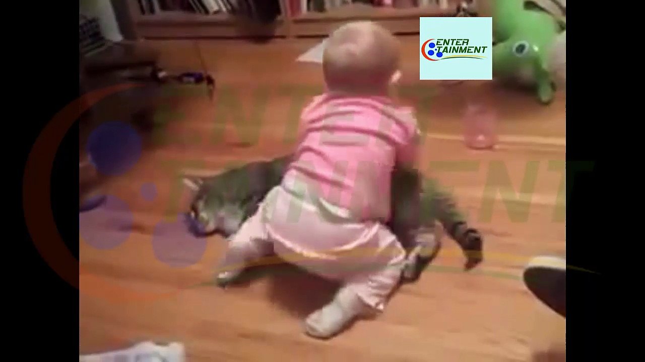 Funny Baby And Poor Cat - Really Annoying Babies And Poor Cats HD - Entertainment