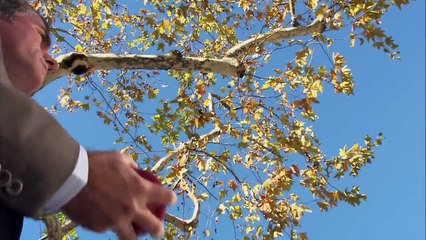 NASA GRACE Tracking-System--By daily Videos.com