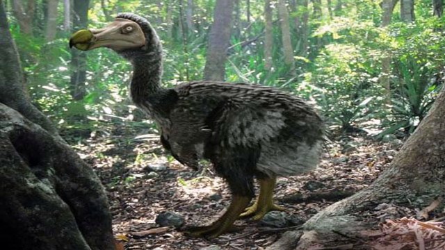 dünya üzerinde Nesli Tükenmiş 10 Muhteşem Canlı türü