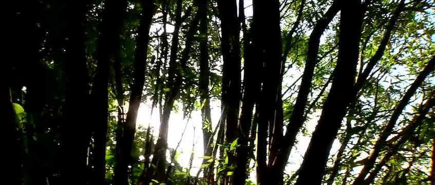 Nossa linda música o o cenario da música perfeito com a música