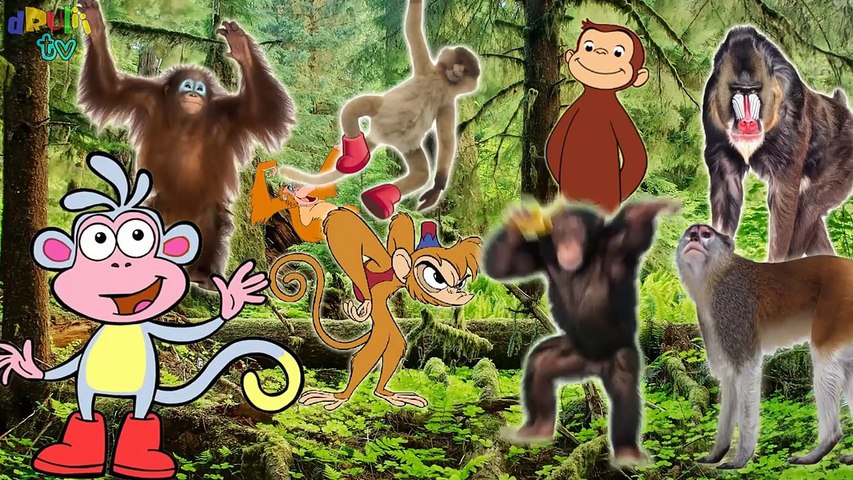 Monkeys Finger Family Song | Abu, George, Rafiki, Boots | Apes Nursery Rhymes for kids