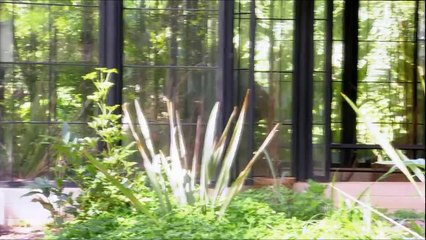 Historia Lia e Vitor *LiTor* parte 16