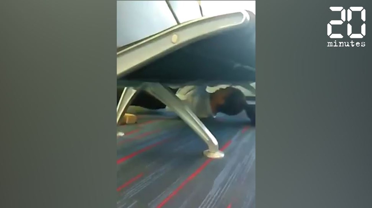 La femme la plus souple du monde ? -  Le rewind du lundi 30 janvier 2017