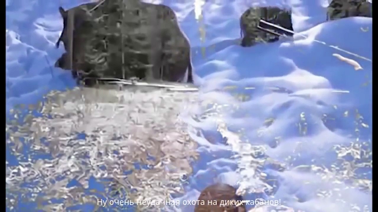 Охота на Диких Кабанов.  Неудачная охота.