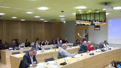 conseil municipal du 30 janvier 2017