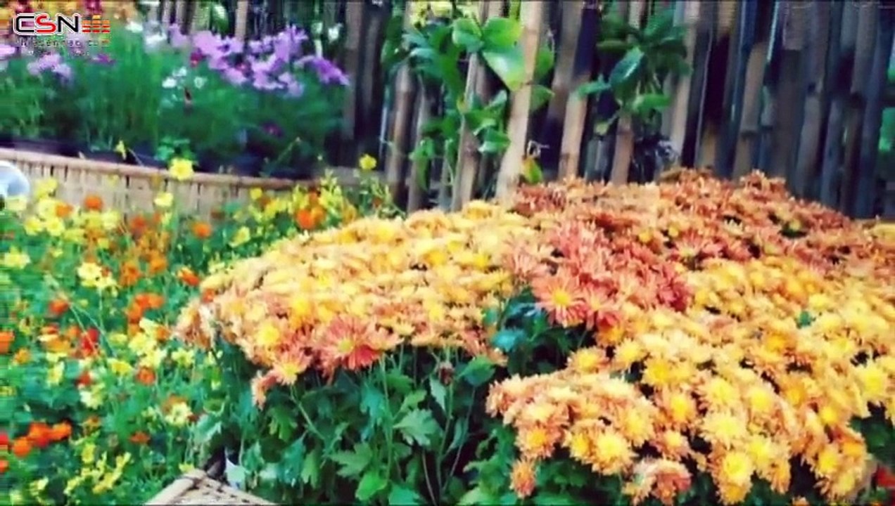 Ngày Tết Quê Em - Hồ Ngọc Hà