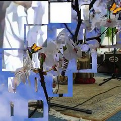 best urdo naghma | rabab | amjid Malang