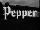 59. Adventures Of Robin Hood Pepper