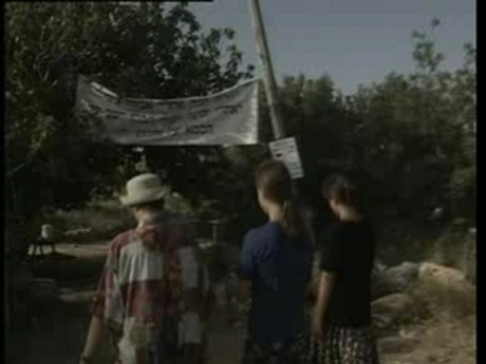 תקומה - פרק 14 - התנחלויות - פרק 3
