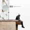 Regarder Keblack bazardée. sur DailyMotion.com