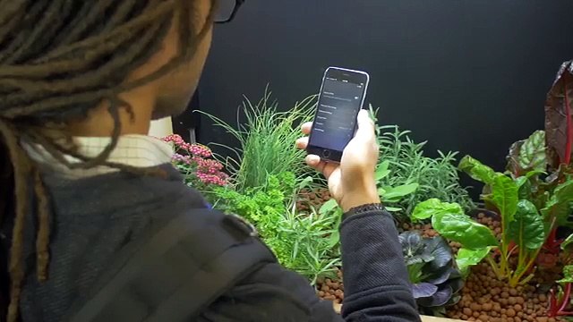 10 Invenções Incríveis que Você Não Sabia que Existiam #1