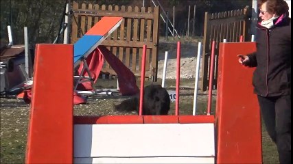 heaven agility  janvier 2017