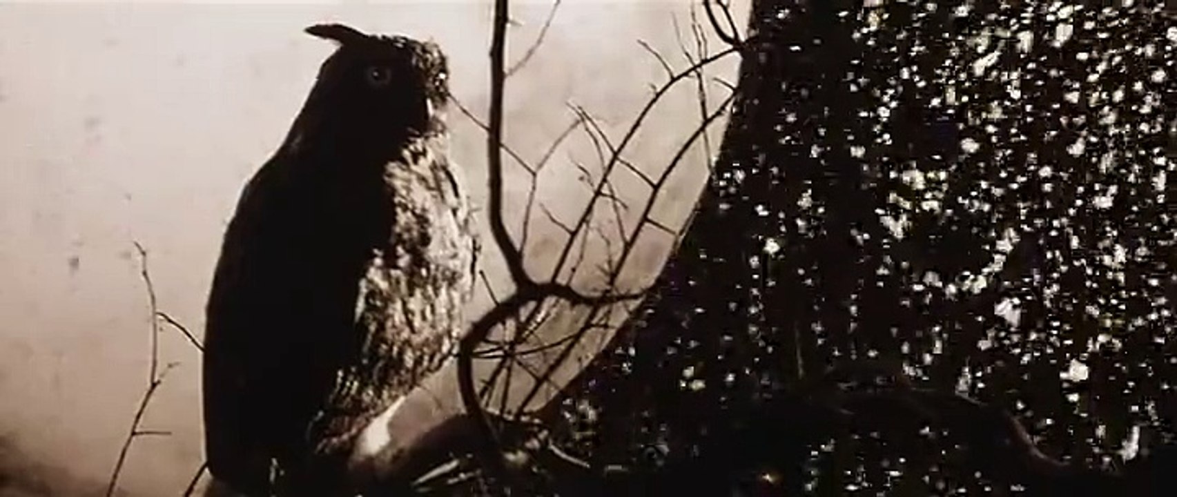 Triste mais si belle chanson