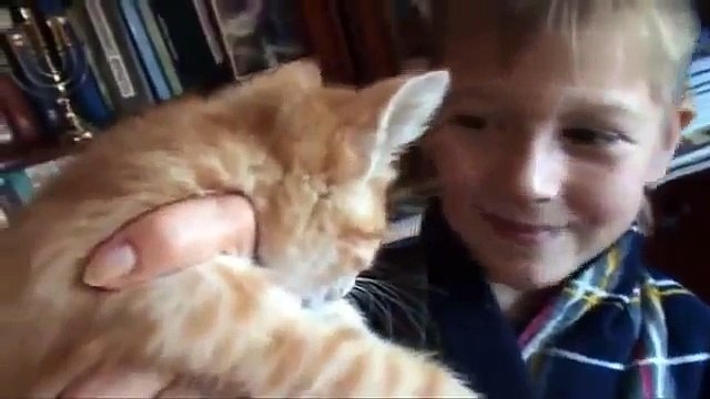 говорящий кот МЕГА прикол