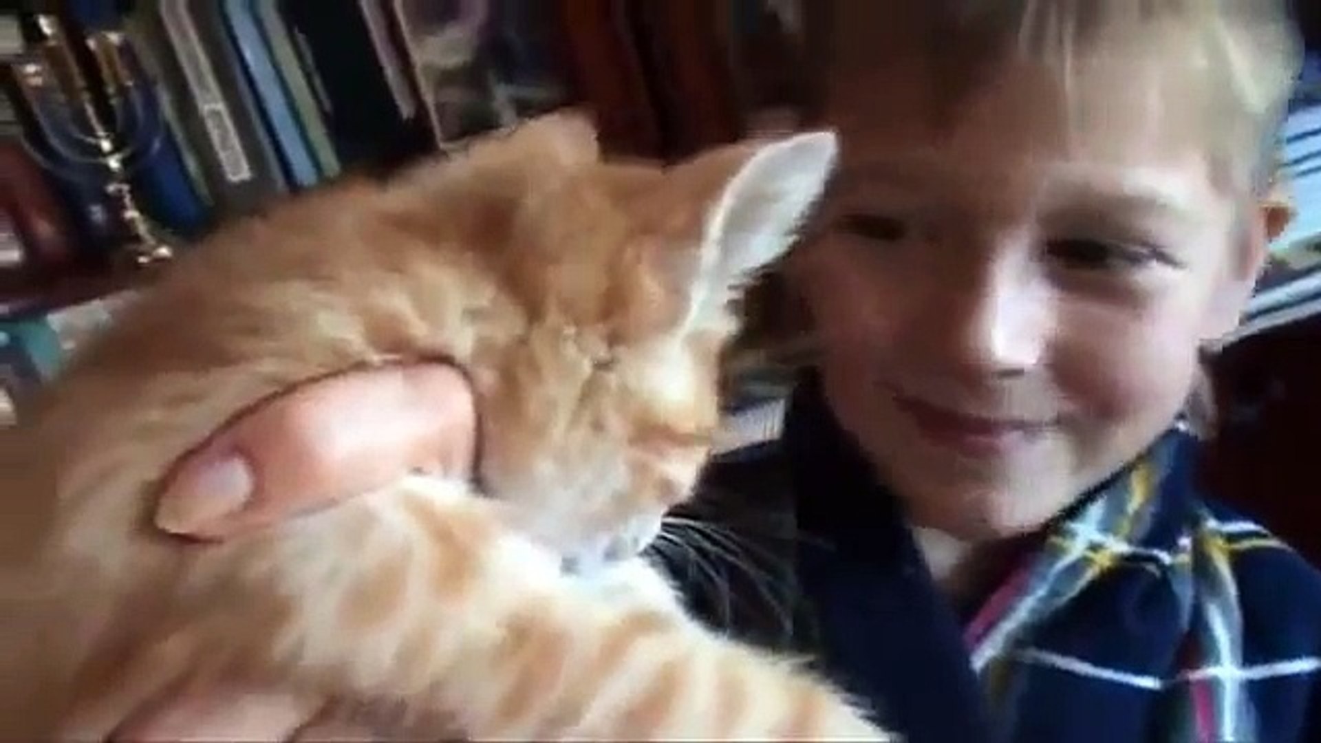 ⁣говорящий кот МЕГА прикол
