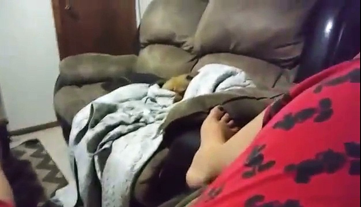 SO CUTE
