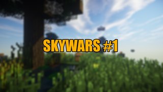 Minecraft : Skywars #1