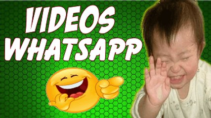 Os Melhores Vídeos Engraçados Do WhatsApp Da Semana Janeiro 2017