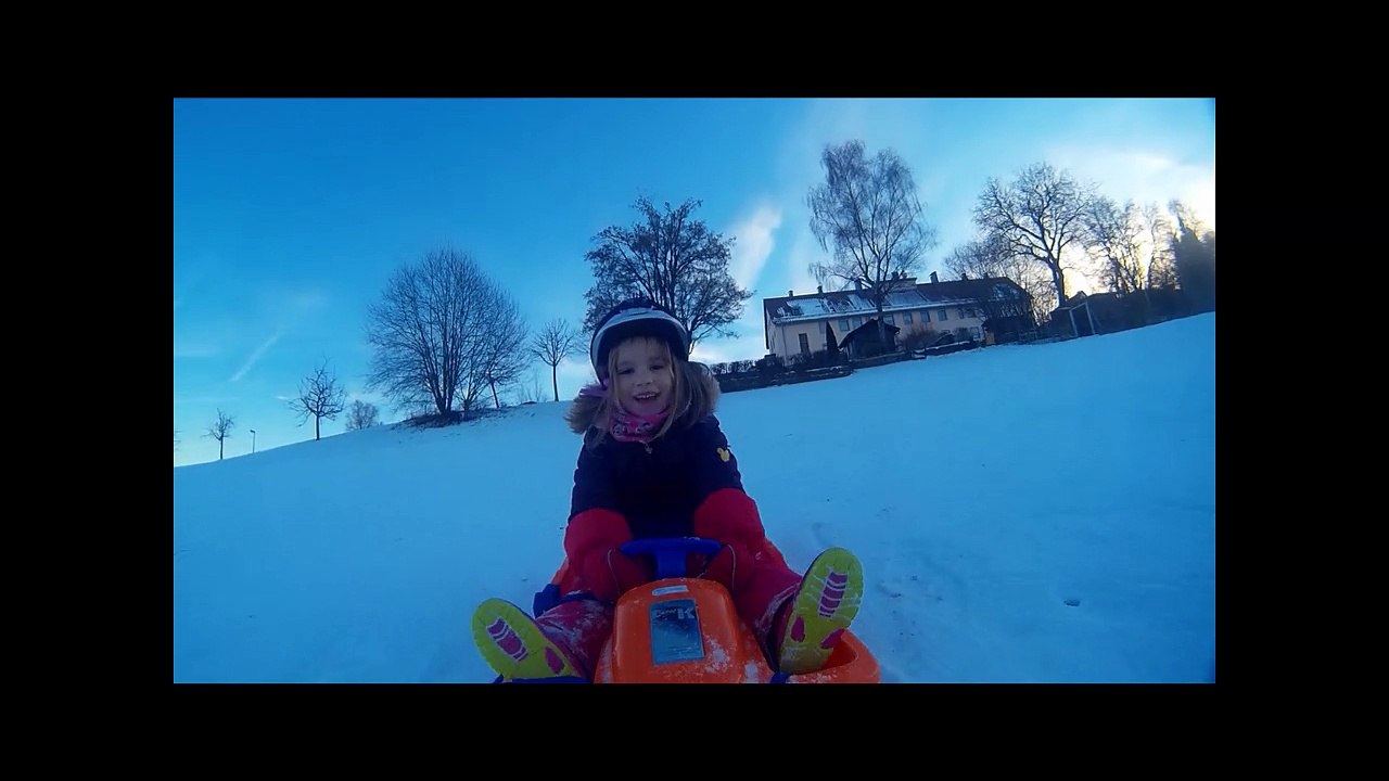 ponny-und-schlitten-action