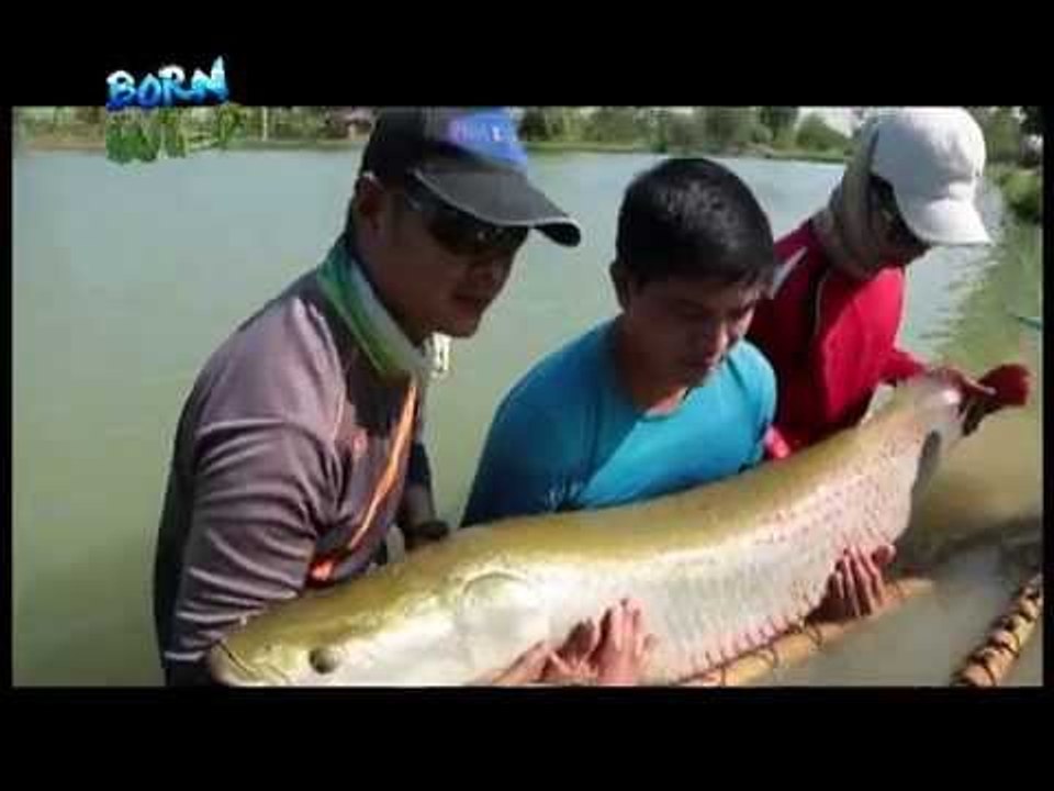 Doc Nielsen Donato encounters Thailand's giant fish | Born to be Wild