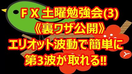 FX土曜勉強会《3》裏ワザ エリオット波動の第3波を獲れ！