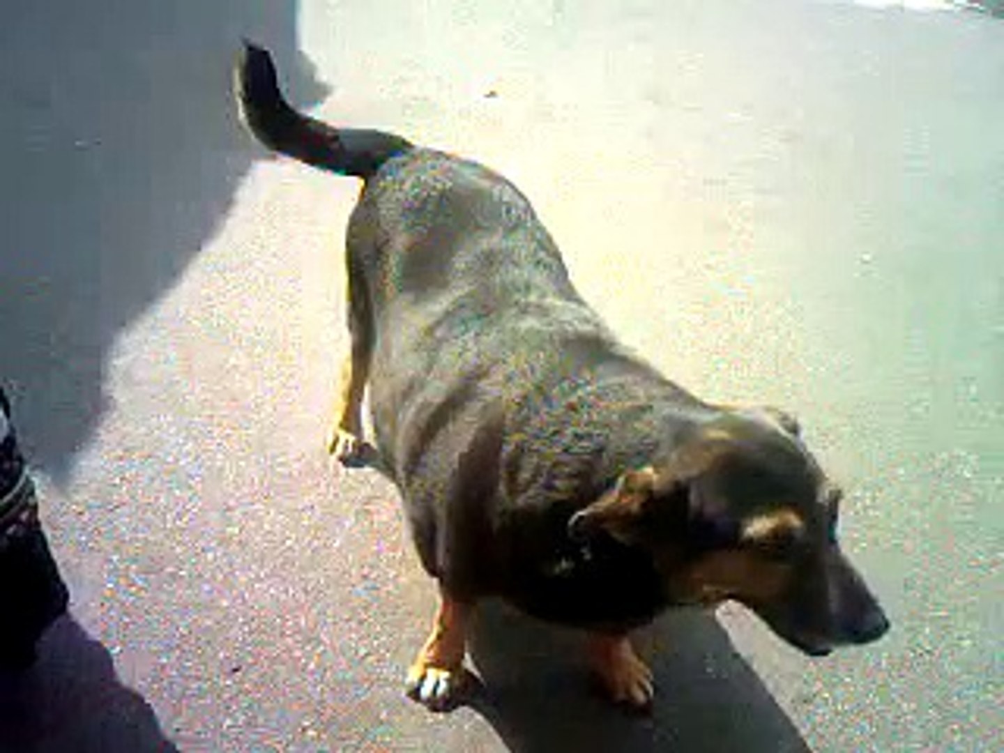 ⁣Это просто надо видеть! Супер смешные и прикольные животные! У нас только лучшее!