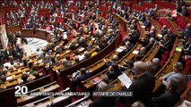 Affaire Fillon - Ces députés qui emploient des membres de leur famille: L'enquête du 20h de France 2