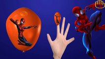 Colors Balloons Spiderman Finger Family Rhymes | Colours Balloons Finger Family Collection