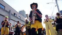 Honk- A Festival of Activist Street Bands