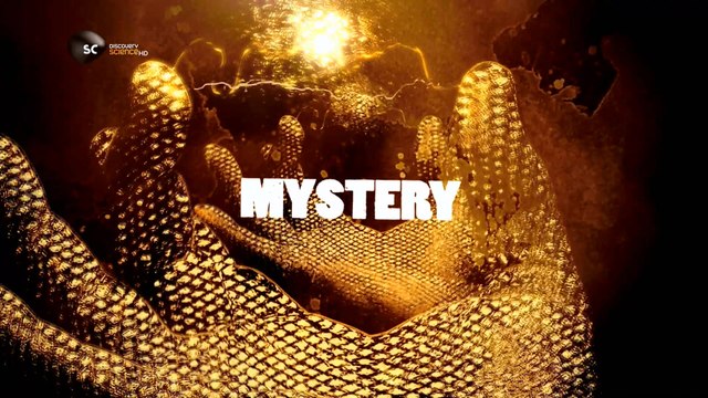 Вот это странно 2 серия. Люди звери (2012)