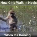 HOW GIRL WALK IN HEELS WHEN IT'S RAIN