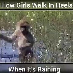 HOW GIRL WALK IN HEELS WHEN IT'S RAIN