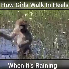 HOW GIRL WALK IN HEELS WHEN IT'S RAIN
