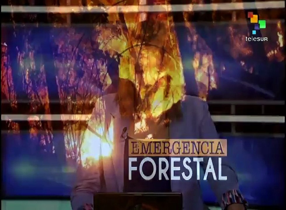 Chile registran 158 incendios forestales en el país