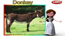 Donkey Nursery Rhyme | Animal Rhymes | Nursery Rhymes With Lyrics | Nursery Rhymes 3D Animation